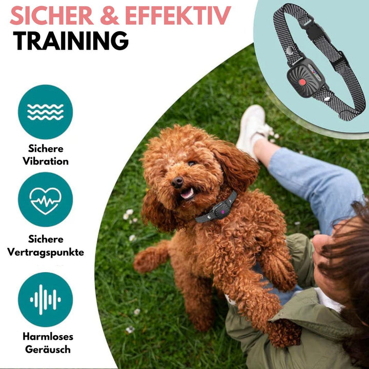 Hund mit Anti-Bell-Halsband auf Rasen, sichere Vibration, harmlose Geräusche, effektives Training, Hundetraining, Verhaltenskorrektur.