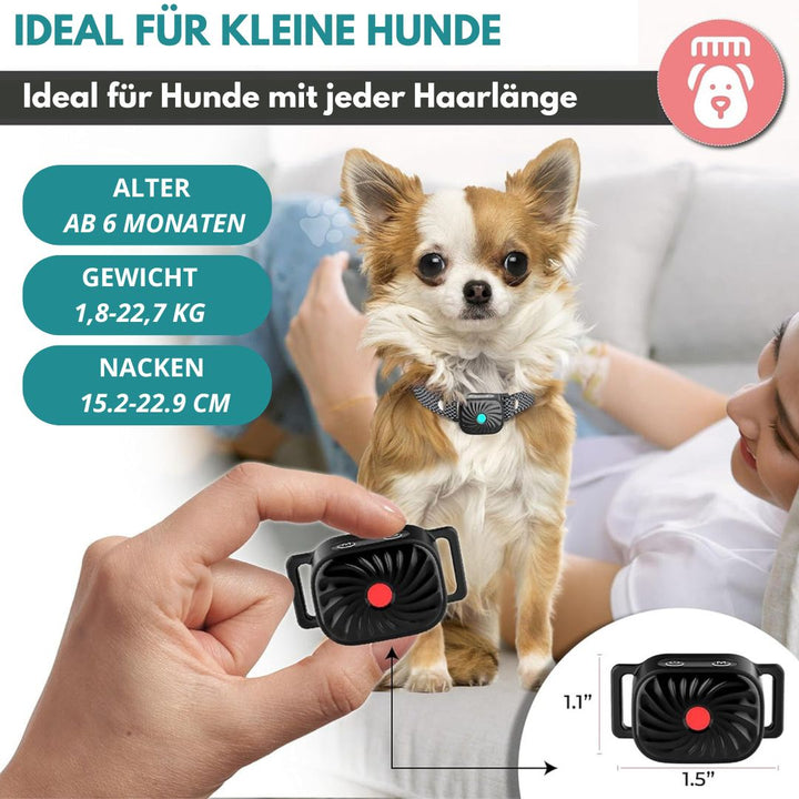 Kleiner Hund mit Halsband auf Sofa, ideal für Hunde ab 6 Monaten, Gewicht 1,8-22,7 kg, Nacken 15,2-22,9 cm. Perfekt für jede Haarlänge.