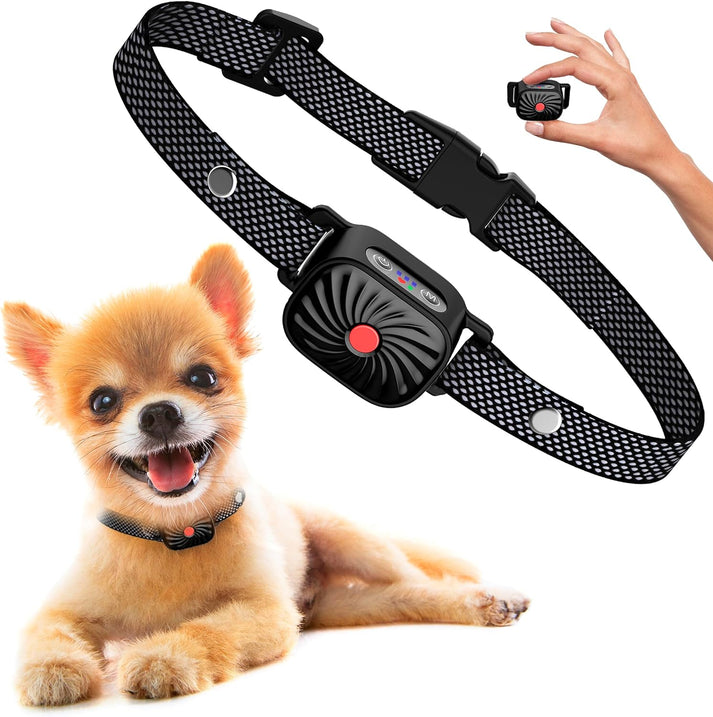 Kleiner Hund mit Anti-Bell-Halsband, schwarz, verstellbar, mit Fernbedienung. Ideal für Hundeerziehung, wasserdicht, sicher und effektiv.