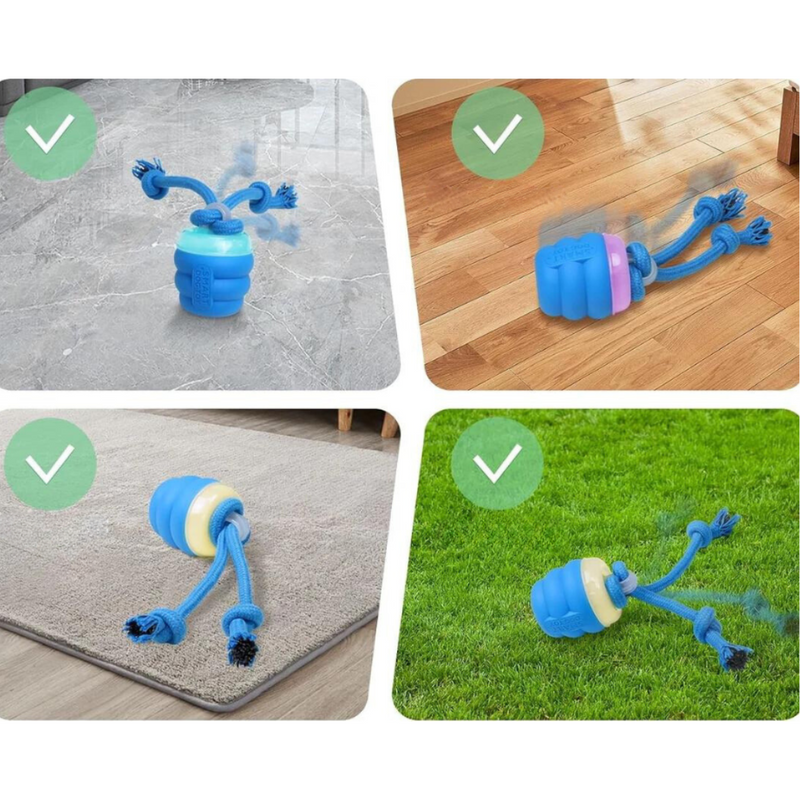 Interactief Hondenspeelgoed