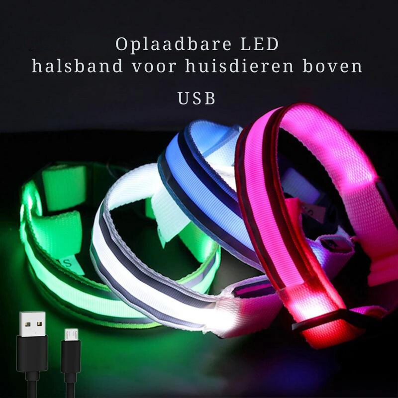 Lichtgevende hondenhalsband