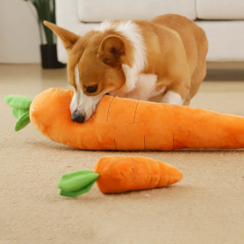 Onverwoestbare Hondenknuffel Pieper