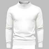 Stilvoller Herren Rollkragenpullover