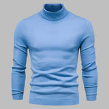 Stilvoller Herren Rollkragenpullover