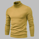 Stilvoller Herren Rollkragenpullover