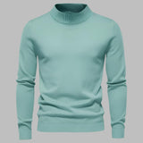 Stilvoller Herren Rollkragenpullover