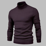 Stilvoller Herren Rollkragenpullover